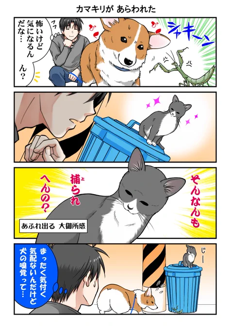 三つ巴 