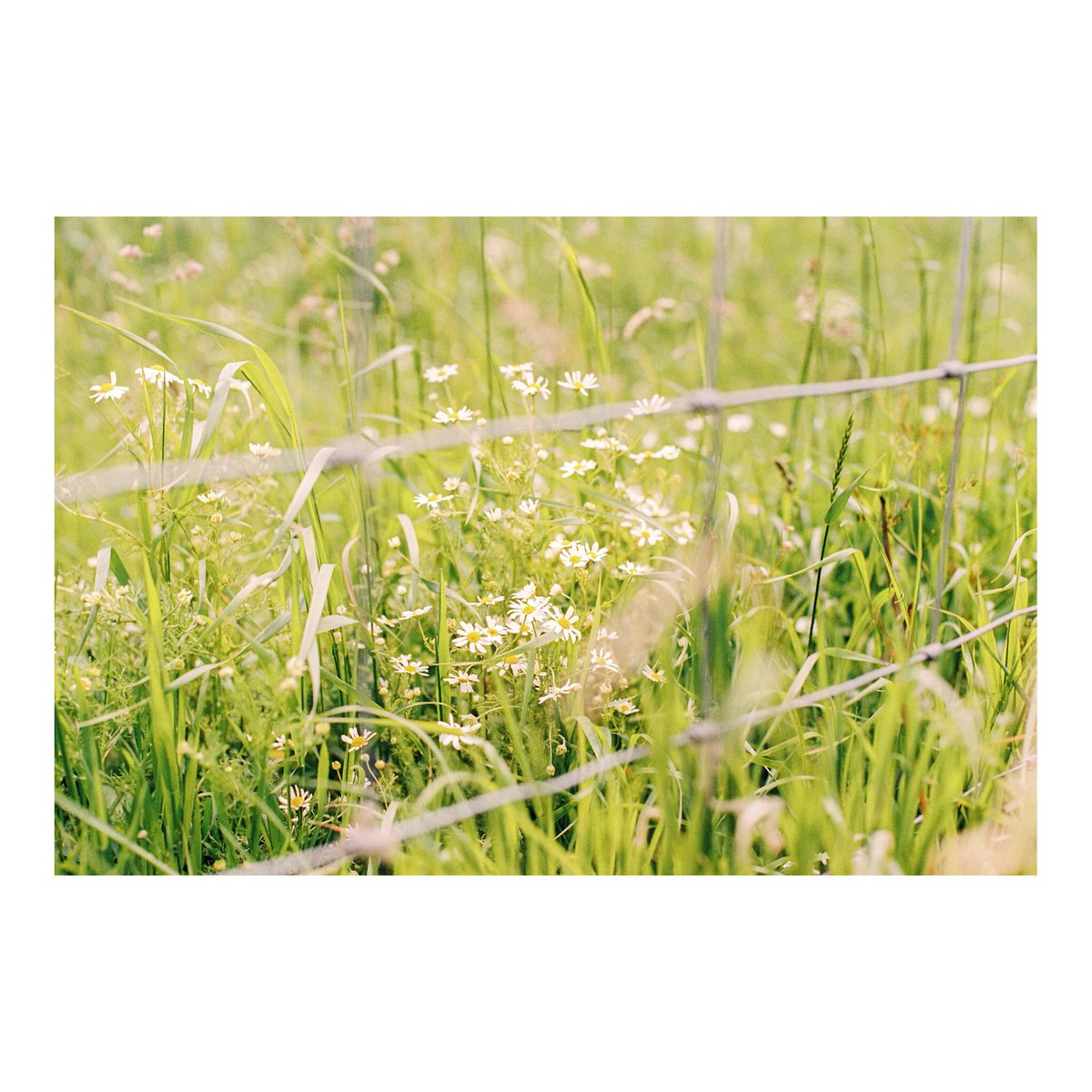 More from the summer 🌞