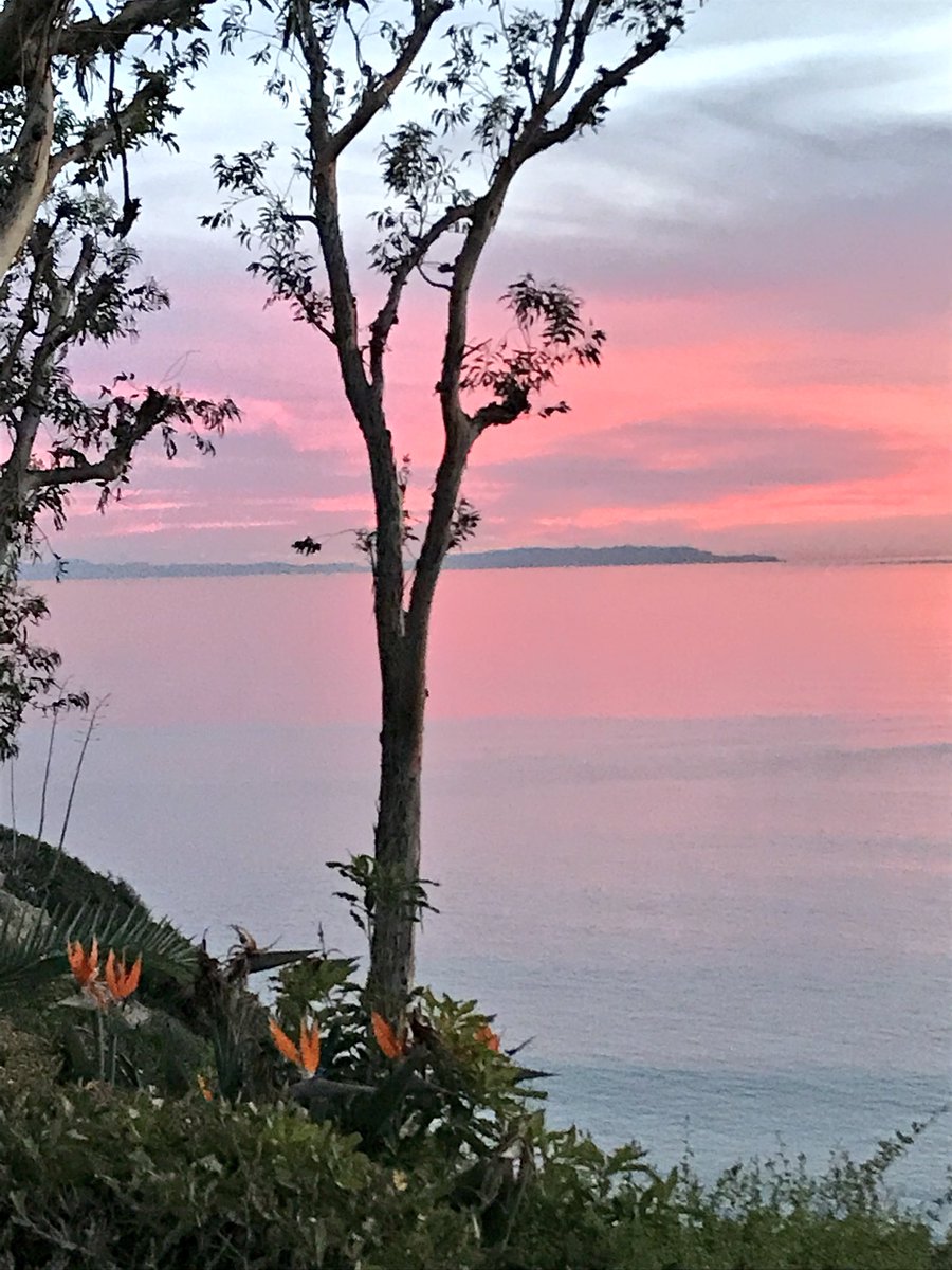LAwmn99's tweet photo. Another epic sunset and the rising full Blue moon 🌴💙🌕🌅🧡🌴
#celestialevents #ilovesunsets #casunset #pacificviews #lasunset #lafullmoon #januarybluemoon https://t.co/wtRrzePHDa