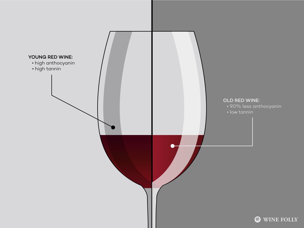 sommelierdubai's tweet photo. Are #young #beverages actually better the #old ones?
Find it out in this #article of @WineFolly.
#Tastedandrated #sommelier #Dubai #Dxb #UAE #MiddleEast #drink #drinking #bottles #glass
https://t.co/81d6J8KjkD https://t.co/aSr5xu3Pue