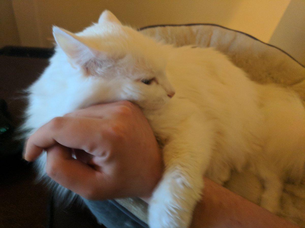 MOONMOON_OW's tweet photo. Hugs https://t.co/GhSrEHQ5xY