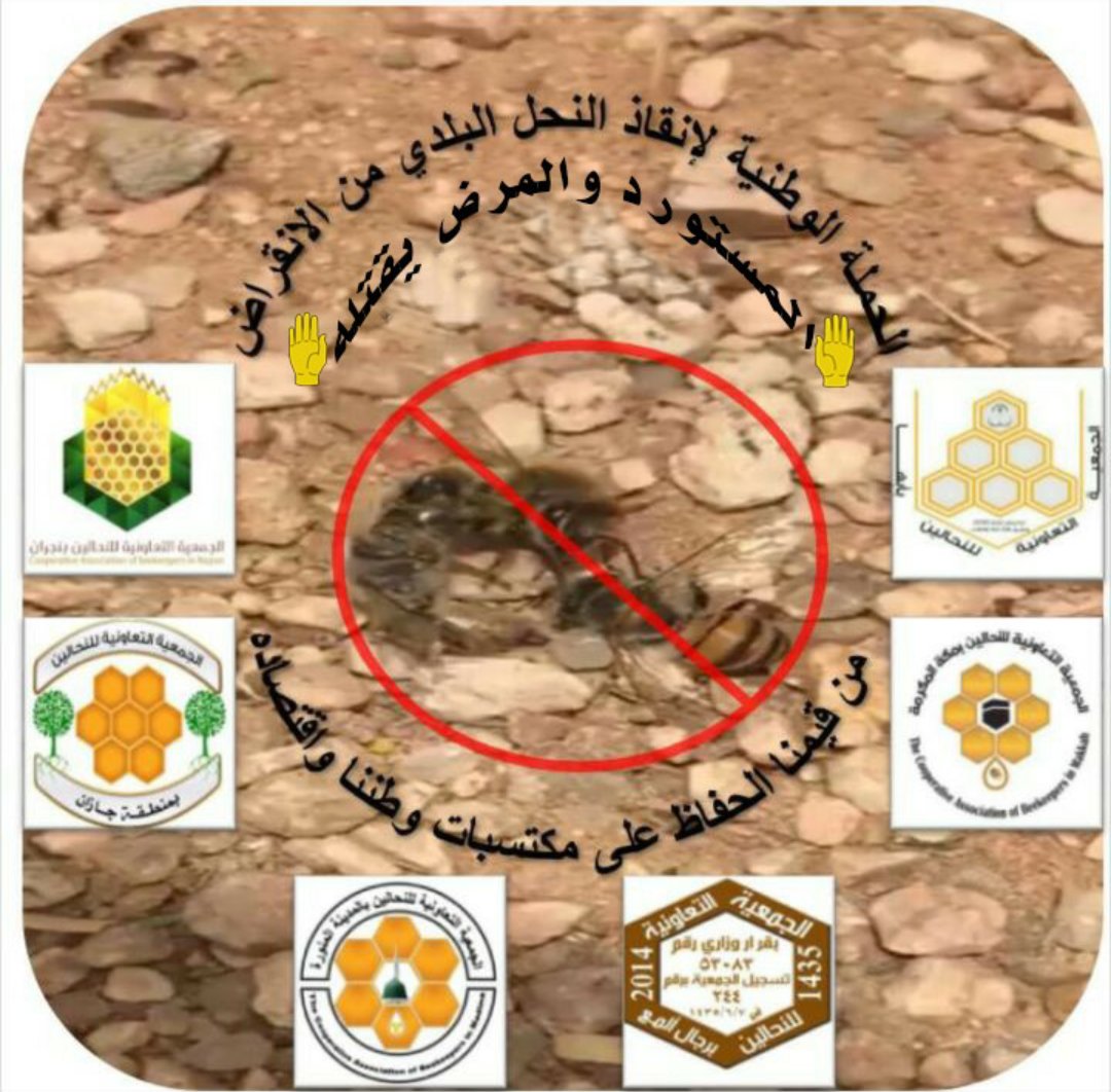 الى تجار النحل المستورد ومن يقف خلفهم بالجاه  الذين يحاولون تكميم افواه النحالين وهذه الجمعيات جميعا 

خبتم وخاب مسعاكم 

والله لن نقف حتى تظهر جميع الحقائق اعلاميا 

وخاصة وان الامر بين يدي سيدي خادم الحرمين الشريفين