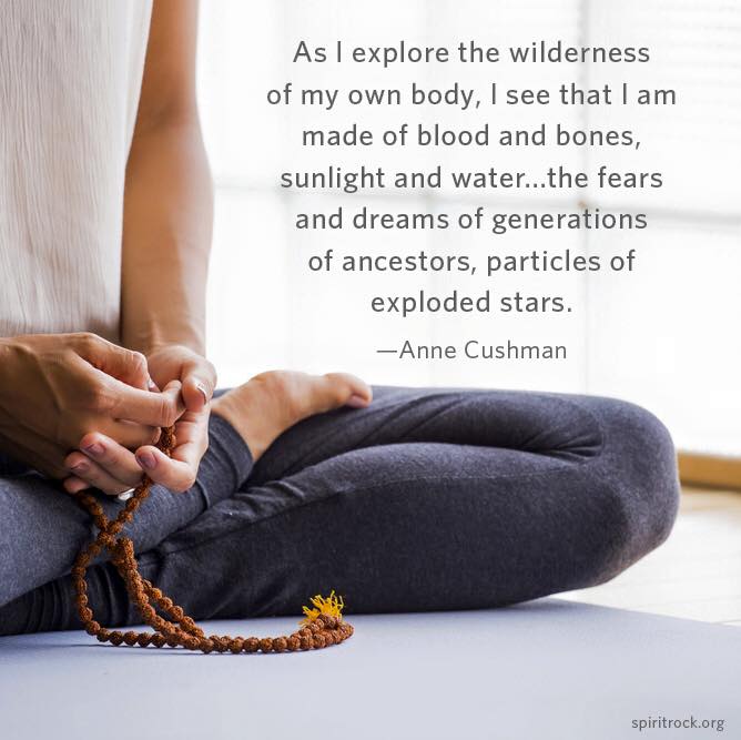 Anne Cushman (@anne_cushman) on Twitter photo 