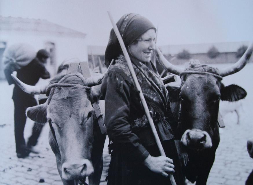 prolavinet's tweet photo. MT @KazamaGZ / https://t.co/pKB17XWBJv: #RuthMatildaAnderson 📷🖼️Capturó un tiempo y un lugar en sus #fotografías de #Galicia, sus costumbres, paisaje y paisanaje #maravillosamente. (imagen tomada en #Torbeo, #RibeiraSacra👉 https://t.co/QJy3jyyfPC 👉 https://t.co/hNPqzmMWyb https://t.co/r27ALdc0Xm