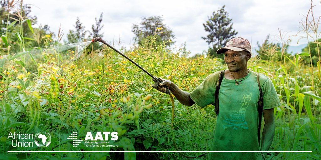 AgScoreCard's tweet photo. The Inaugural Biennial Review Report of the African Union Commission on the Implementation of the Malabo Declaration on Accelerated Agricultural Growth and Transformation for Shared prosperity and Improved Livelihoods is available via this link https://t.co/TH7tUVsWW5 https://t.co/JLDtzXGHs2