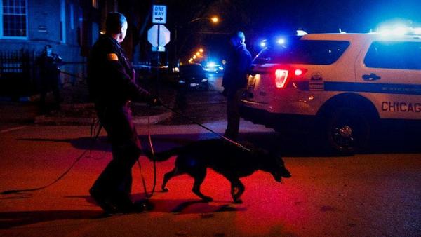 chicagotribune's tweet photo. A man attempting to break into Lincoln Square home Tuesday was fatally shot by his accomplice, police said https://t.co/d95IJvZF7b https://t.co/QRkuvo6Mym