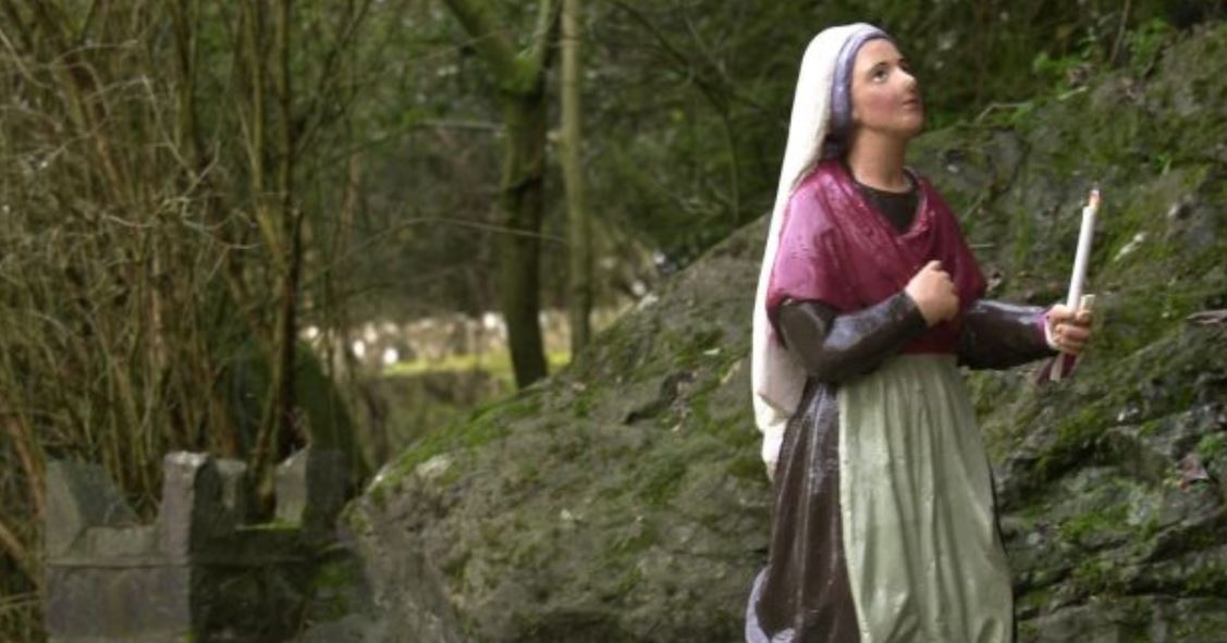 Bernie Linnane 🏳️‍⚧️ tweet media