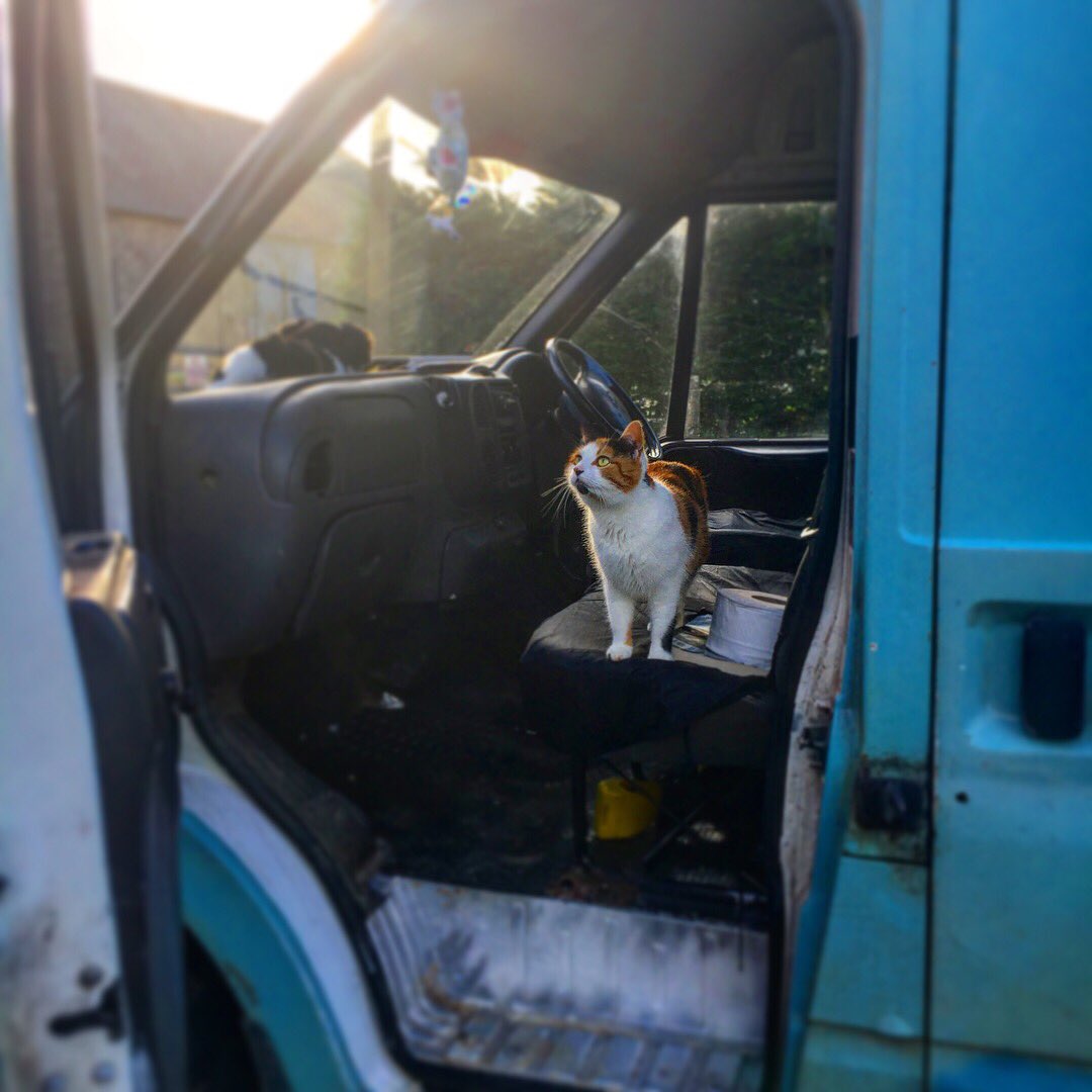 fromourvan tweet picture