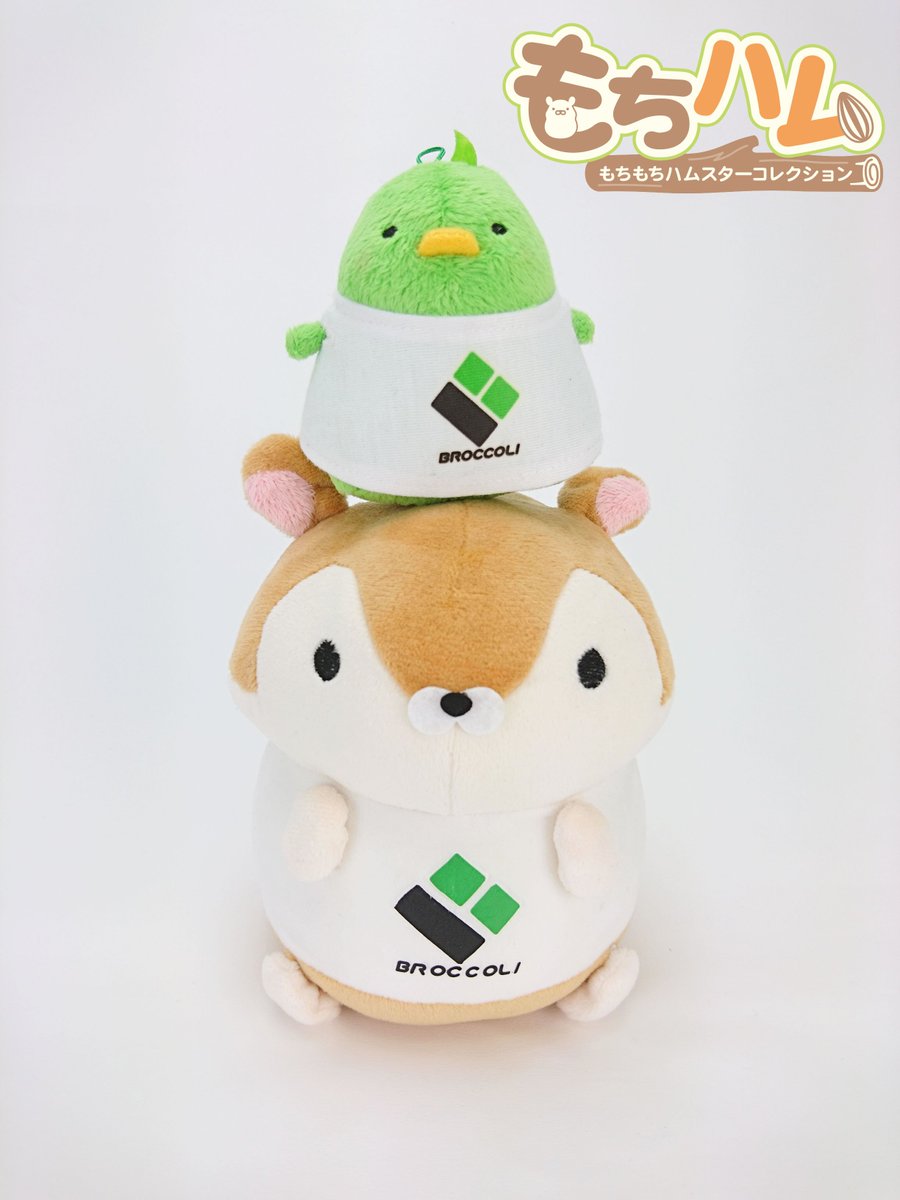 ブロッコリーぬいぐるみinfo 新登場 ブロッコリーのぬいぐるみシリーズに新たに仲間入りした もちもちハムスターコレクション の宣伝をしてくれる もちハム が到着しました これから宜しくお願いします みなさんもハッシュタグ もちハム ぬい