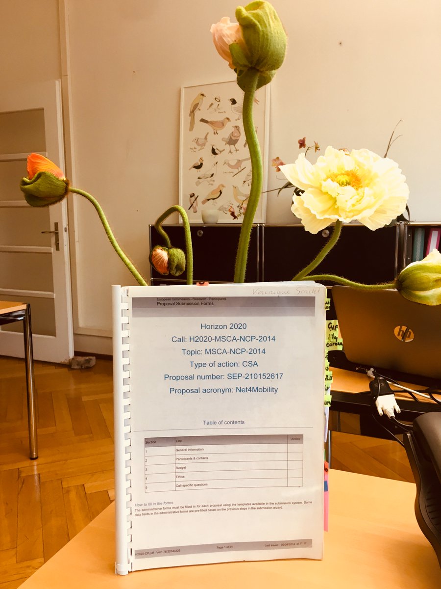 MSCANetwork's tweet photo. Today it is the last day of the project! We thank again all the #MSCA #NCP! It was an honor to work with you! The adventure continues with the new #Net4MobilityPlus! @KPK_PL https://t.co/4cn8MTXCOc