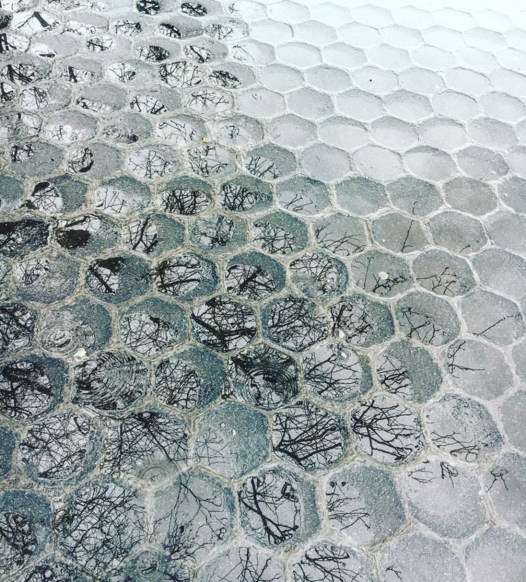 Reflections #DesignHivebyBrookfield #2018 #architecture #interiordesign #architects #wolcottai #leanarch #exnovo #BrookfieldDTLA