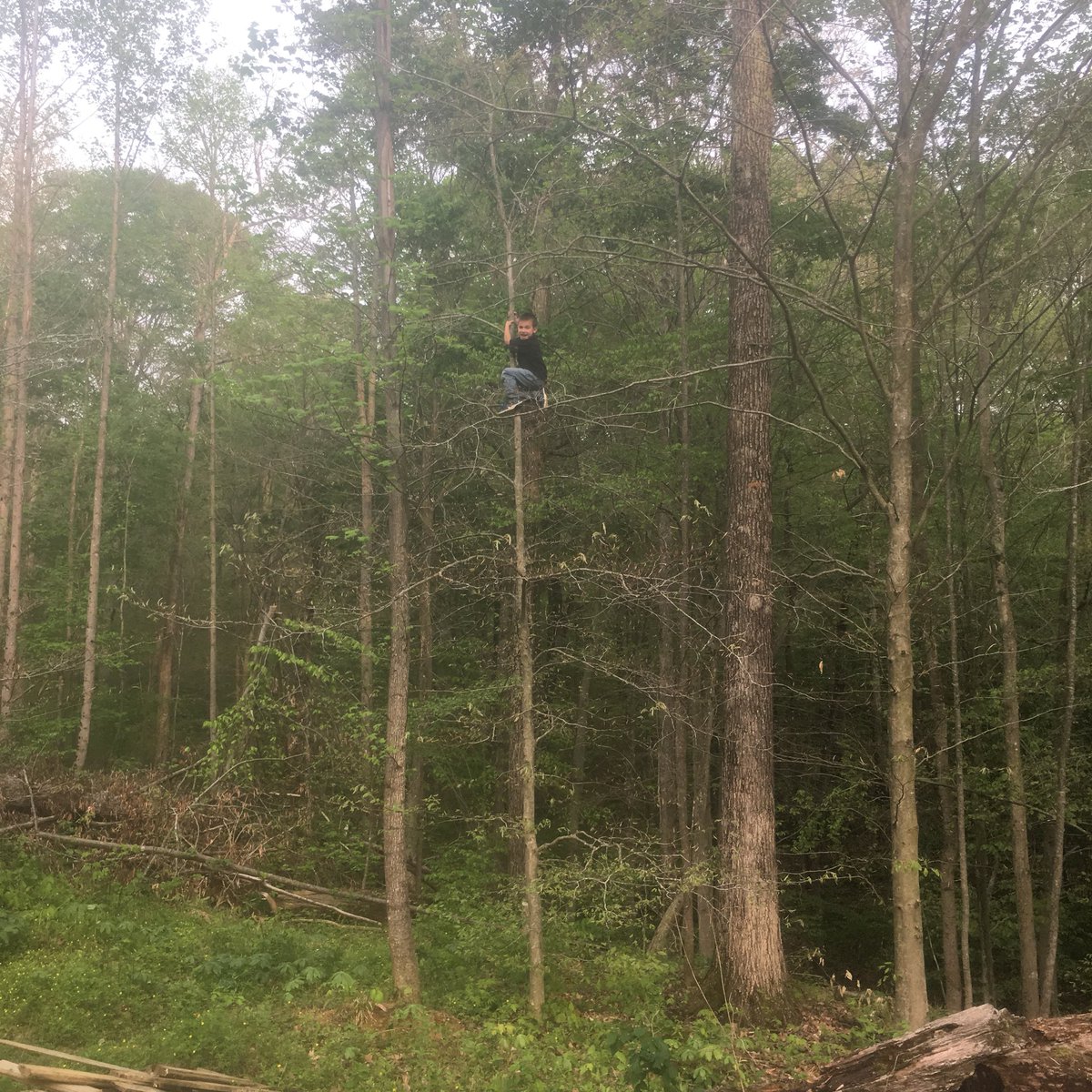 PrimalHackr's tweet photo. Don’t be afraid to #challenge yourself today and so something that scares you. He was scared to climb this tree at first but now I can’t keep him out of it. #fear #primalkids #NeverGiveUp #life https://t.co/L3dxmYmniK