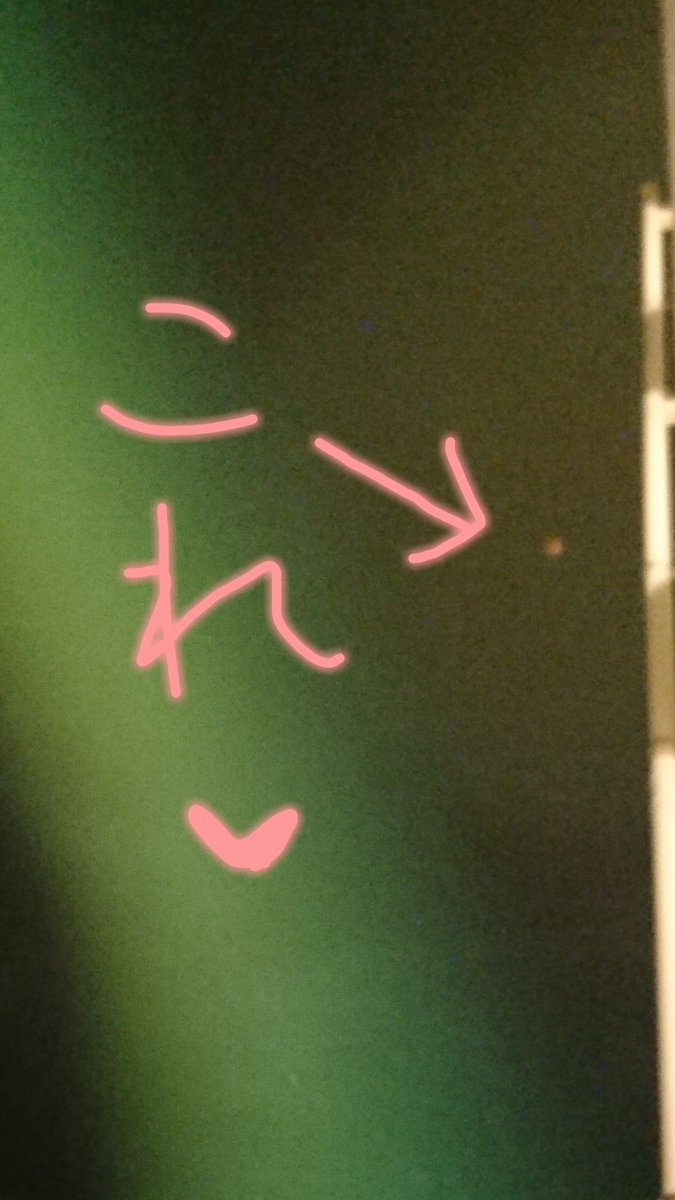 実際は目を凝らしてギリギリ見えるくらい