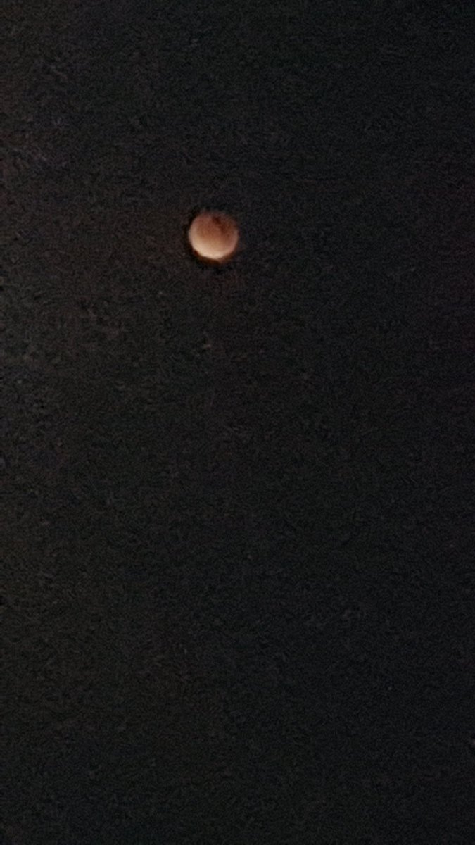 Not the best shots but it looked really cool in person #SuperBlueBloodMoon