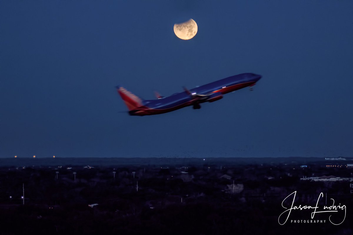 FreewayPhoto's tweet image. Lunar Eclipse from Tampa #SuperBlueBloodMoon #florida @yourtake @FlyTPA @SouthwestAir @PaulFox13 @mcclureWX @VisitTampaBay @VISITFLORIDA