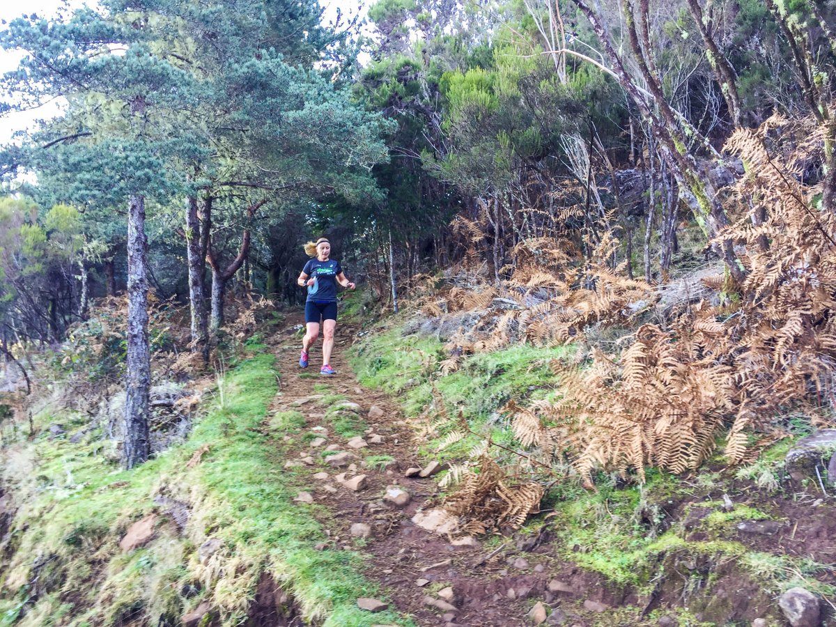 2MADEIRA's tweet photo. Running tour with Emma through beautiful trail in Poiso.
https://t.co/pIBys40HkS
#trailrunning #2madeira #runningtours https://t.co/AwgV5oasIl