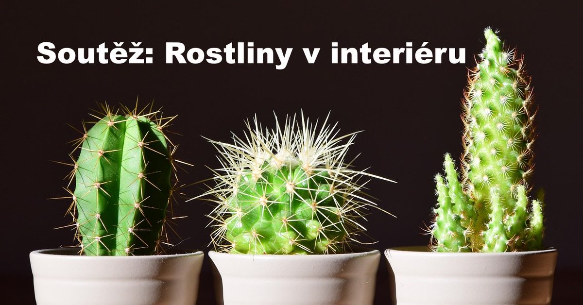 bydlenicz's tweet photo. Velká soutěž ROSTLINY V INTERIÉRU je spuštěna! https://t.co/eWFk1YbWBY https://t.co/ixSU32Lj4k