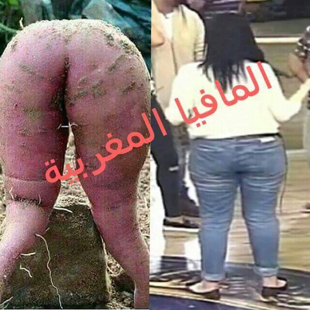 yasmensedik's tweet photo. @maryouma_maroc @Sara_raphan @Hala_nouna1 @HITRADIOMA @HananeElKhader اختلاف الابقار من منطقة لي اخرى بقر فانز خنونة بقر سمين لدرجة ممكن يتغلظ ليك مع افيال جنوب افريقيا الضخمة هههه
ابقر عندهم وعندنا ههههه https://t.co/OAvAmhZicT