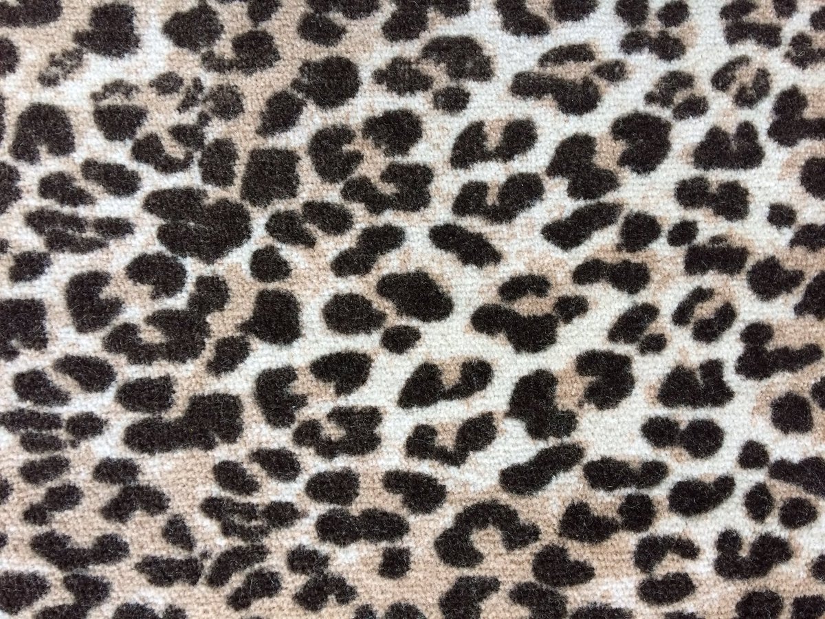 Animal Print Carpets tweet media