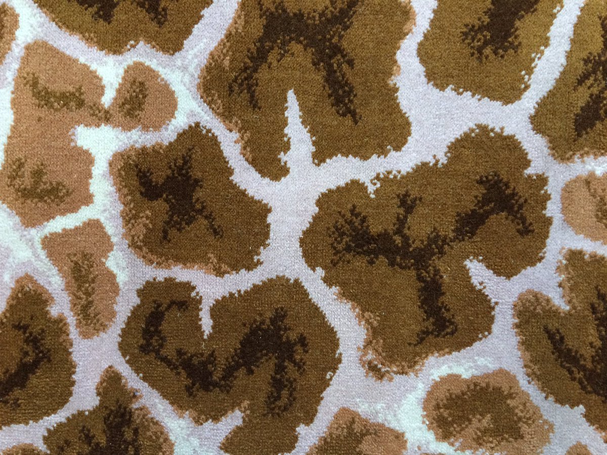 Animal Print Carpets tweet media
