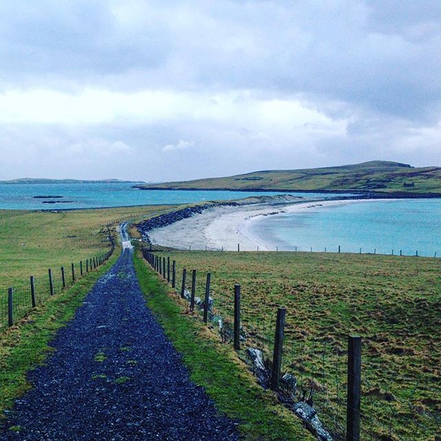 VisitScotland's tweet photo. Who'd like to walk down to the beach at West Burra accompanied only by the odd sheep? 🙌 🐑 📷 https://t.co/5RrbfusufY #Burra #Shetland #InspireByShetland https://t.co/oxZBtl0N44