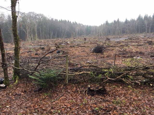 Weather might be bad but at least you have the cycle path to yourself! #southforkracing
#tarkatrail #northdevon #meeth  #ridelocal