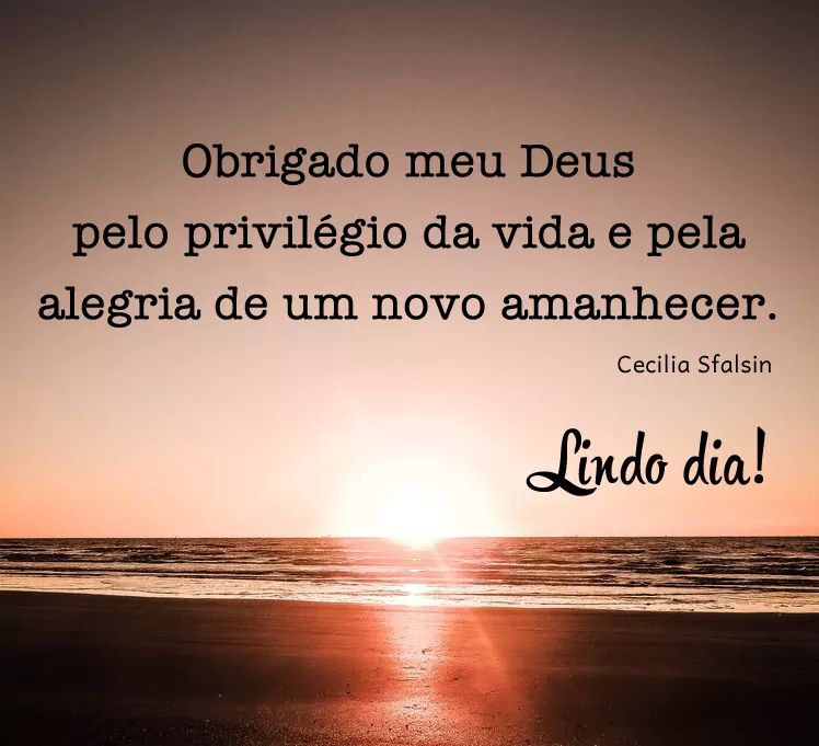 geniltosouza's tweet image. 