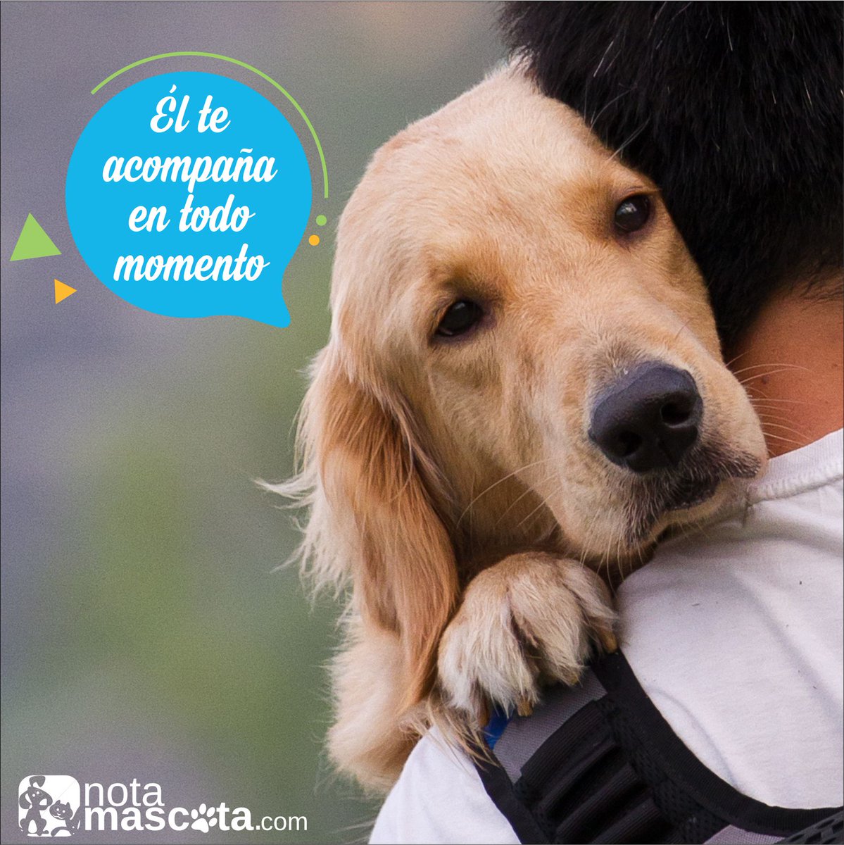 notamascota's tweet photo. Él es tu amigo, tu compañero, tu defensor, tu perro. https://t.co/MEyTtYxp96 #Mascota #Venezuela https://t.co/iz6EZyr4Xn