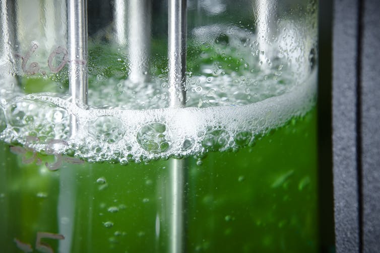 dtdchange's tweet photo. Biomining the elements of the future
https://t.co/2FmfKNfocO #urban #Mining
Recycling rare earth elements with microorganisms
Vital - I'd say https://t.co/e1ouYjOlpa