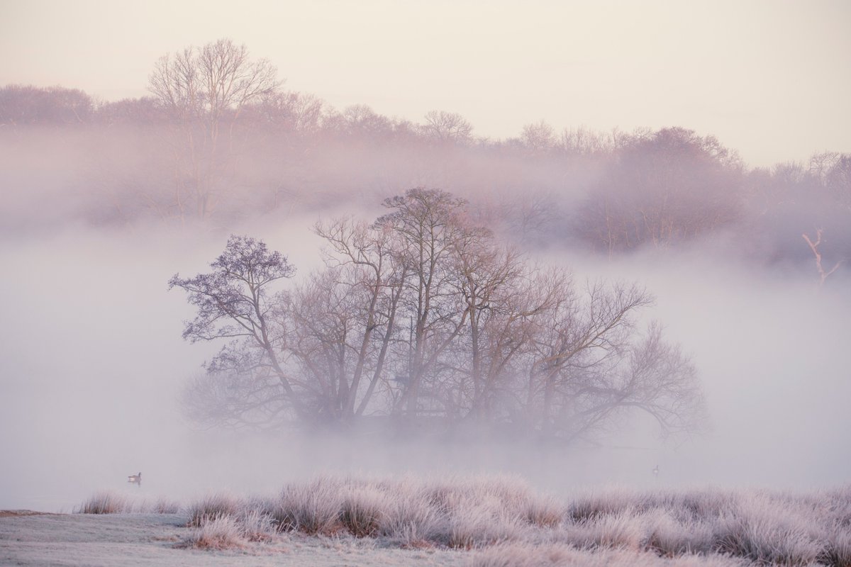 visitlondon's tweet photo. Richmond Park, you are a beauty! 😍 #Londonin4 #seemorelondon

[📸: @MF60uk] https://t.co/Vmlvbqn8ma