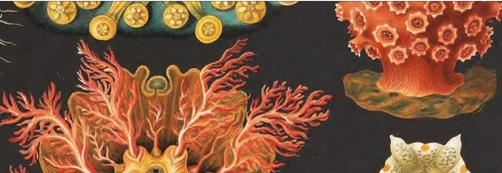 Discover biodiversity heritage materials with the Biodiversity Heritage Library cardiffunioa.wordpress.com/2018/01/31/dis…