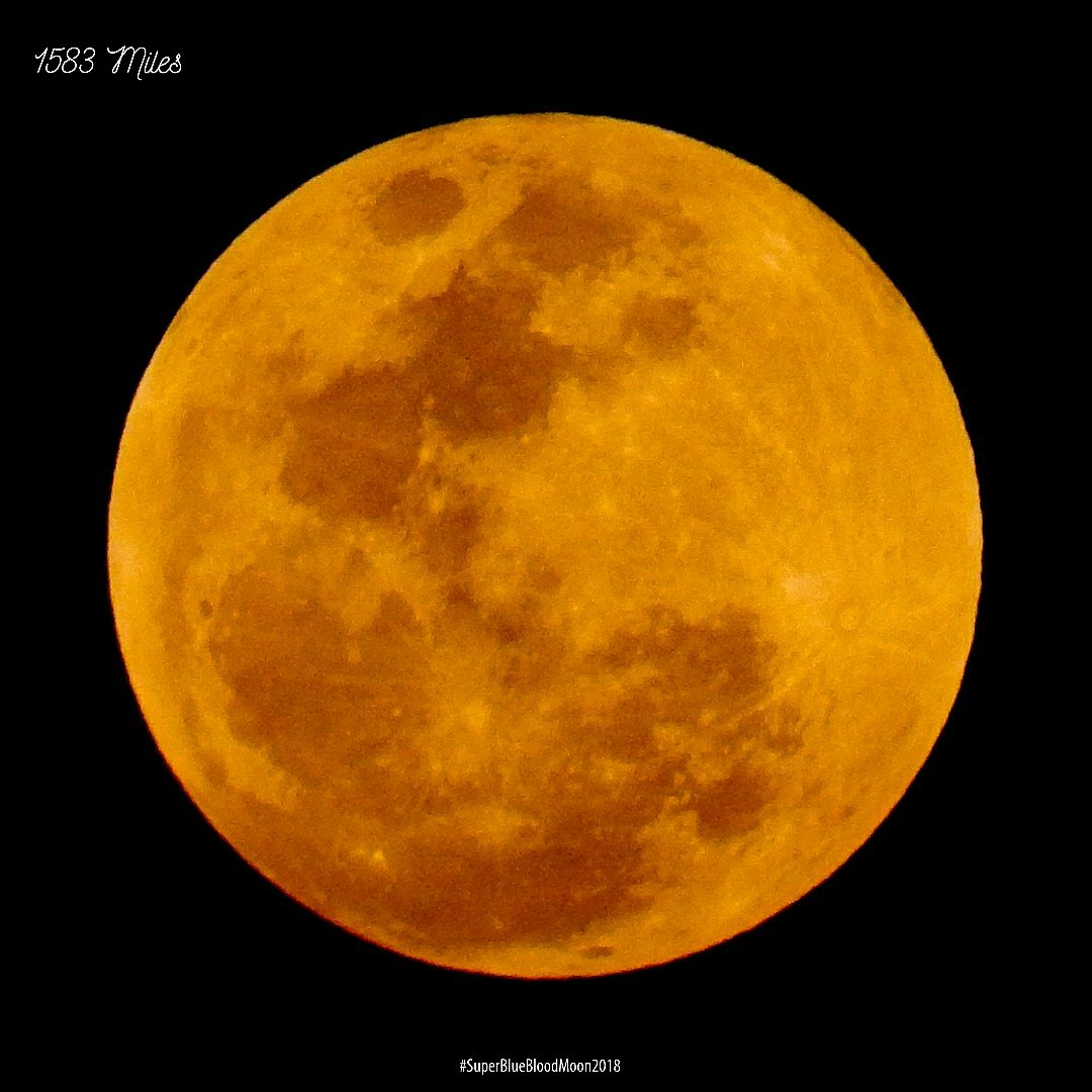 1583Miles_WH's tweet photo. #SuperBlueBloodMoon https://t.co/BMFdVHcE0t