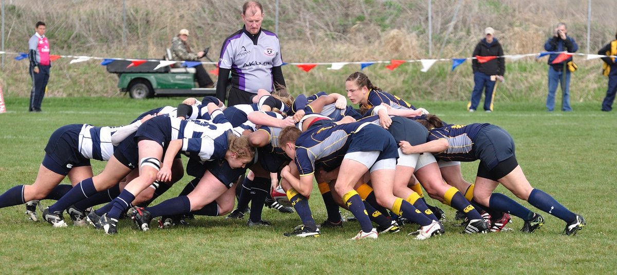 Martin Buske tweet media