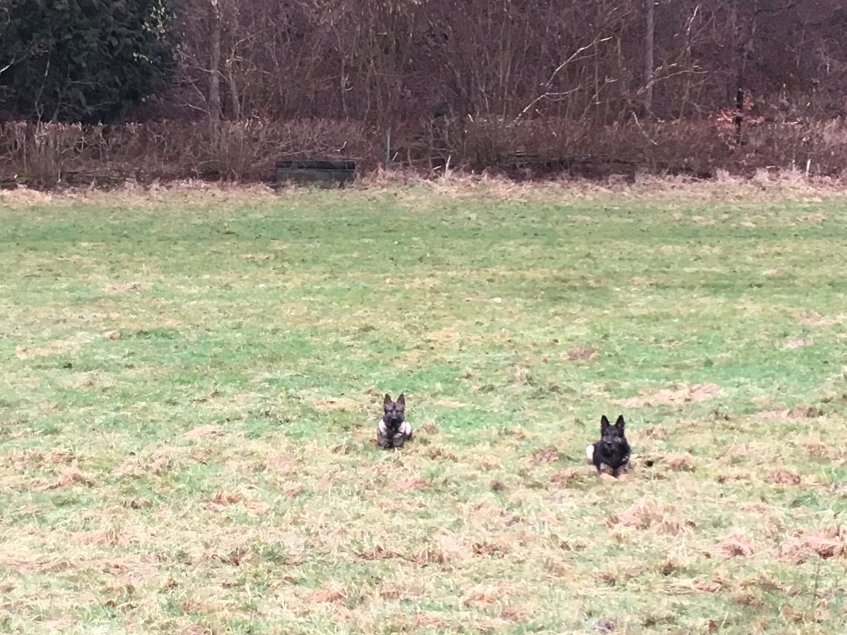 Wet, cold and windy...must be training week!! @CotswoldsPolice <a href="/CotswoldLadyB/">Countess Bathurst</a>