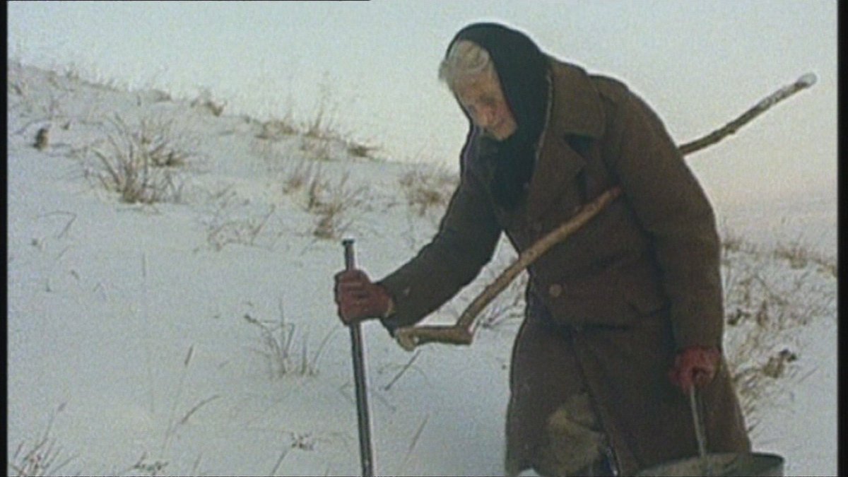 itvcalendar's tweet photo. Hannah Hauxwell has died aged 91. She is remembered for running an isolated farm on her own in North Yorkshire. 

https://t.co/tkrRb0KVHR https://t.co/FlKPQtFFHk