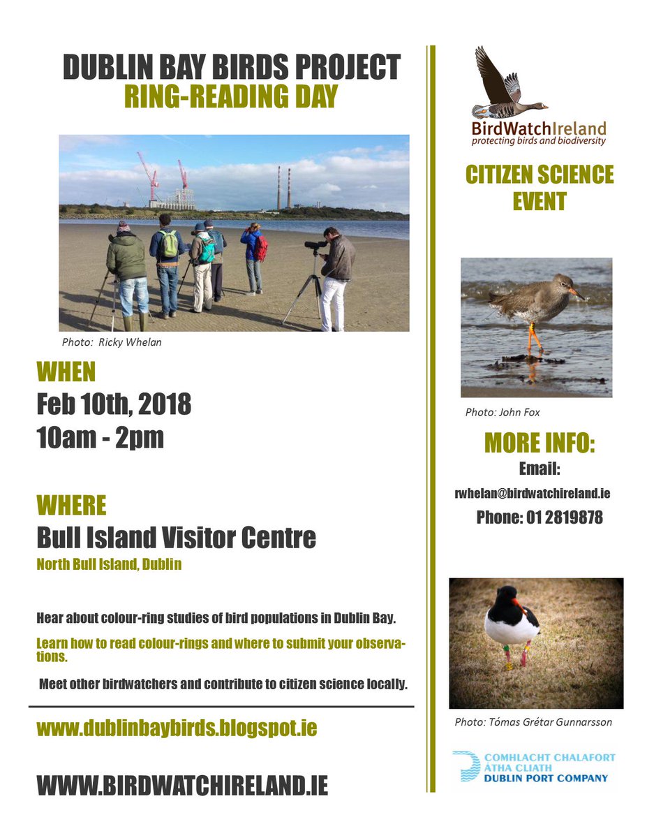 BirdWatch Ireland tweet media