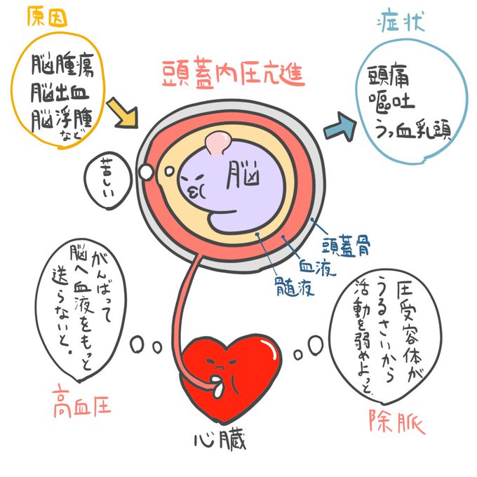 ゴロ 解剖生理イラストさん のツイート 上 の検索結果 1 Whotwi グラフィカルtwitter分析 ゴロ 解剖生理イラストさん のツイート 上 の検索結果 1 Whotwi グラフィカルtwitter分析