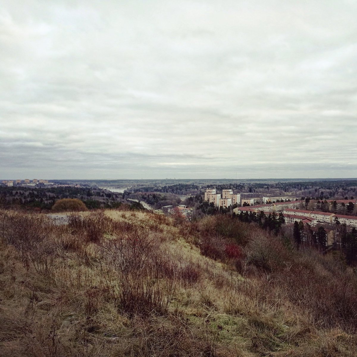 Januari: 310 km #löpning, 310 kr till <a href="/Cancerfonden/">Cancerfonden</a> cancerfonden.se/insamlingar/1-…