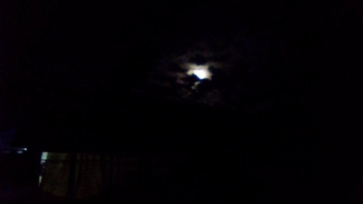 DNLLTD tweet picture