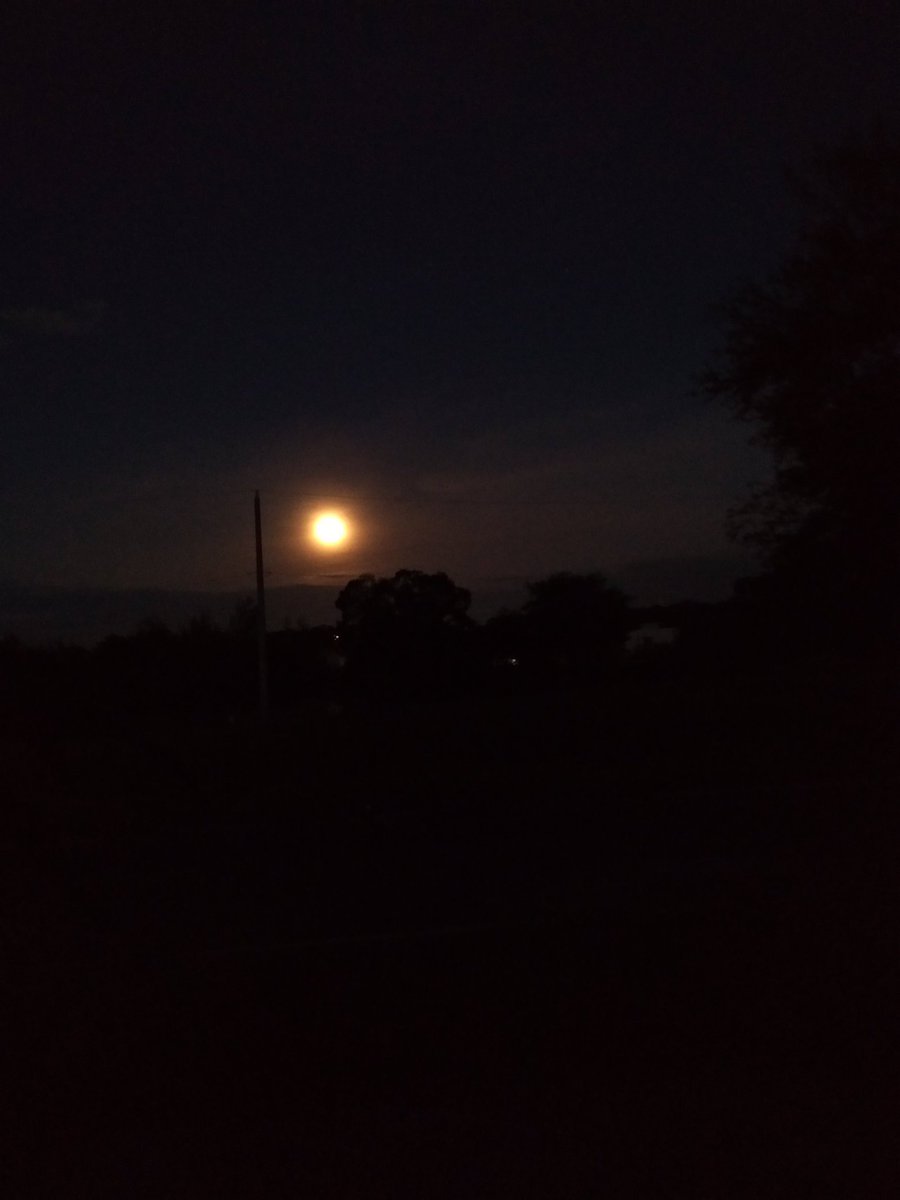 meo_Ow's tweet photo. This was all i could get of the #SuperBlueBloodMoon #poorcamera ๐คฃ #lunareclipse #fullmoon #bloodmoon #supermoon #bluemoon #justmoon #haha https://t.co/q2zLrqCWwP