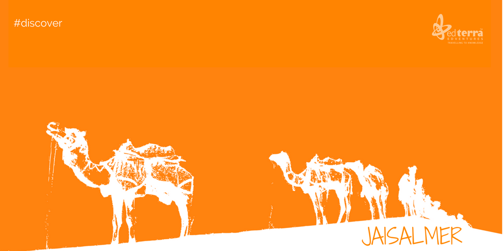 EdTerra's tweet photo. #Discover how #Jaisalmer transformed from a thriving trade center into a popular #tourist attraction.

Here are 5 most interesting #facts about Jaisalmer :
https://t.co/AukrE66ZyL

#TravelwithEdterra
#Cultural #Rajasthan 
#EdterraEdventures
#Palace #Desert
#TravelForLearning https://t.co/Pm4Ea7QUjJ