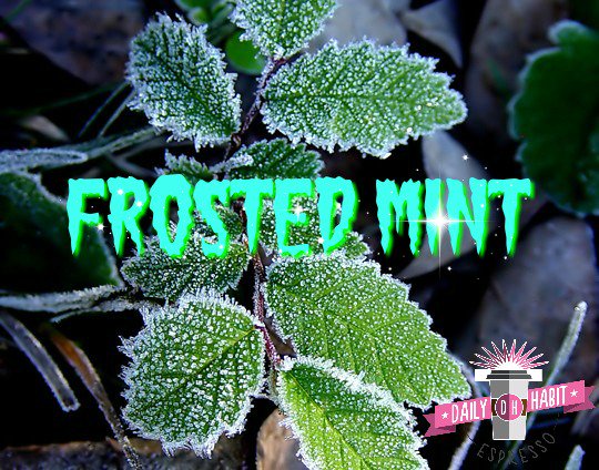 dh123dailyhabit's tweet image. Frosted Mint is the perfect addition to this cold winter day. We love starting your Daily Habit. #frostedmint #fotd