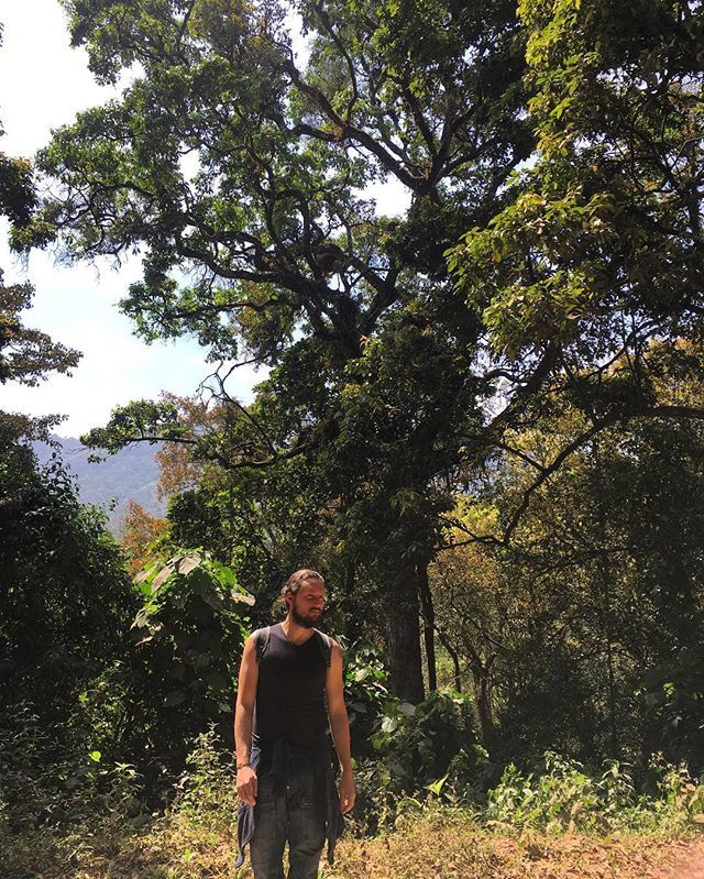 GosiaFricze's tweet image. Into the wild #southindia #munnar #devikulam ift.tt/2E01eaK