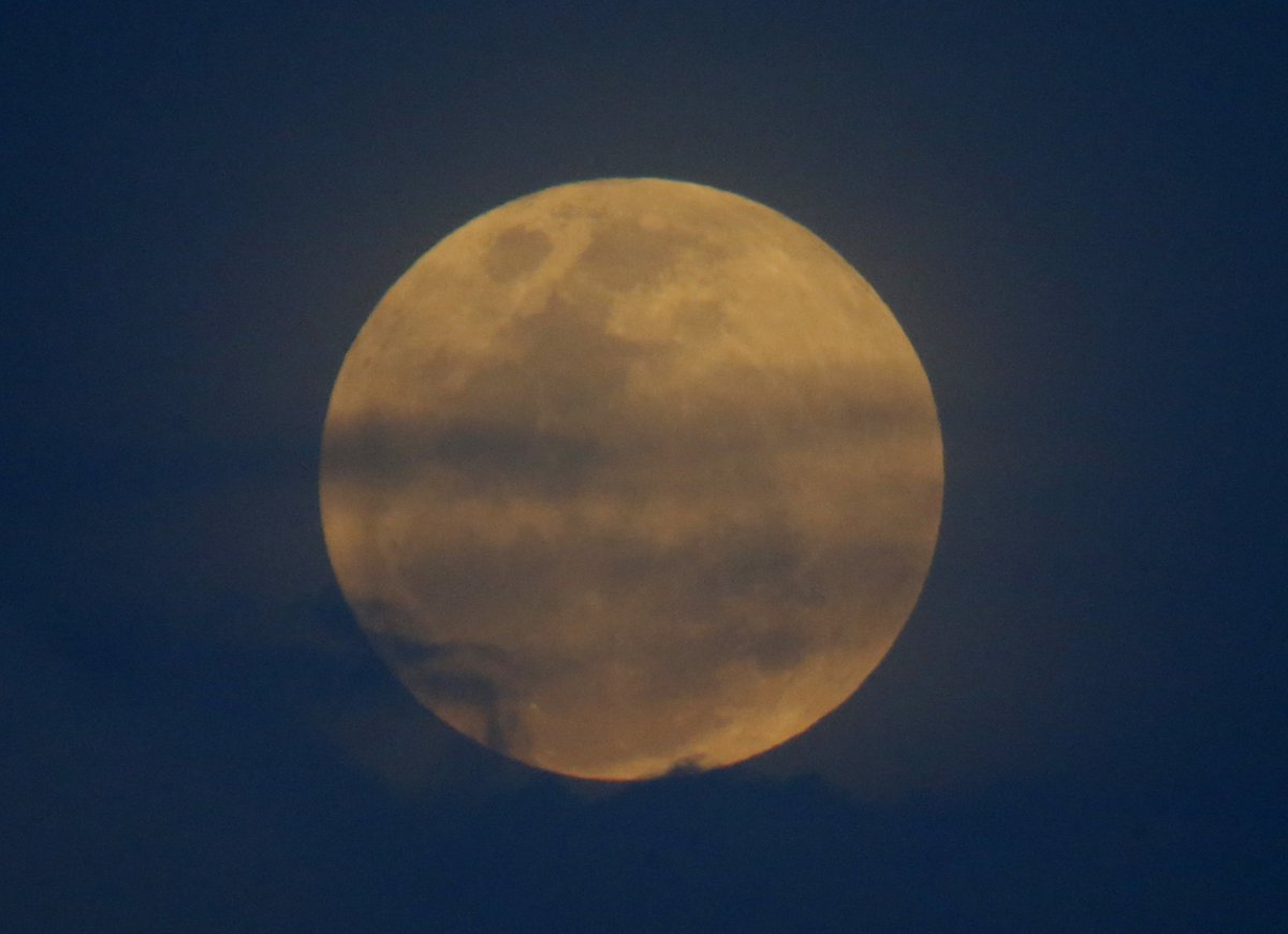 CP24's tweet photo. Lunar Showstopper: 1st super blue blood moon in 35 years
https://t.co/cC9aEr2XxT https://t.co/7Jd9f2daOQ