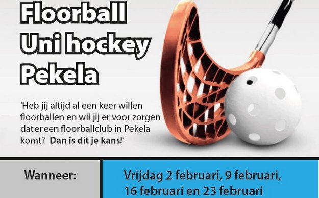 Floorball succes krijgt vervolg! dlvr.it/QDPPwb