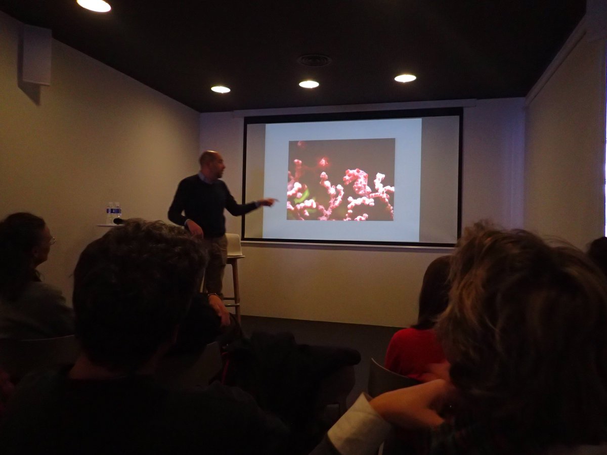 FONAMAD's tweet photo. Reseña de la charla fotográfica "Kritters of Lembeh – un paseo submarino por Indonesia"de nuestro compañero @jpplazapozo en @XperienceMadrid con la colaboración de @FONAMAD: https://t.co/LNOzLFUZEz    #Lembeh #Indonesia #FotografíaSubmarina 🐙🐠#buceo https://t.co/EvdPYG7KQS