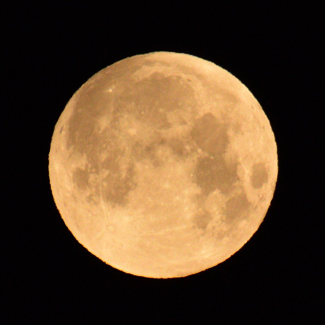 contantc's tweet photo. Quelques photos que j’ai prises de la super lune bleue de sang. #cbcmtl #rdi @rdimatin #radiocanadainfo #photographie #photography #nikon https://t.co/5ENFRXJloP