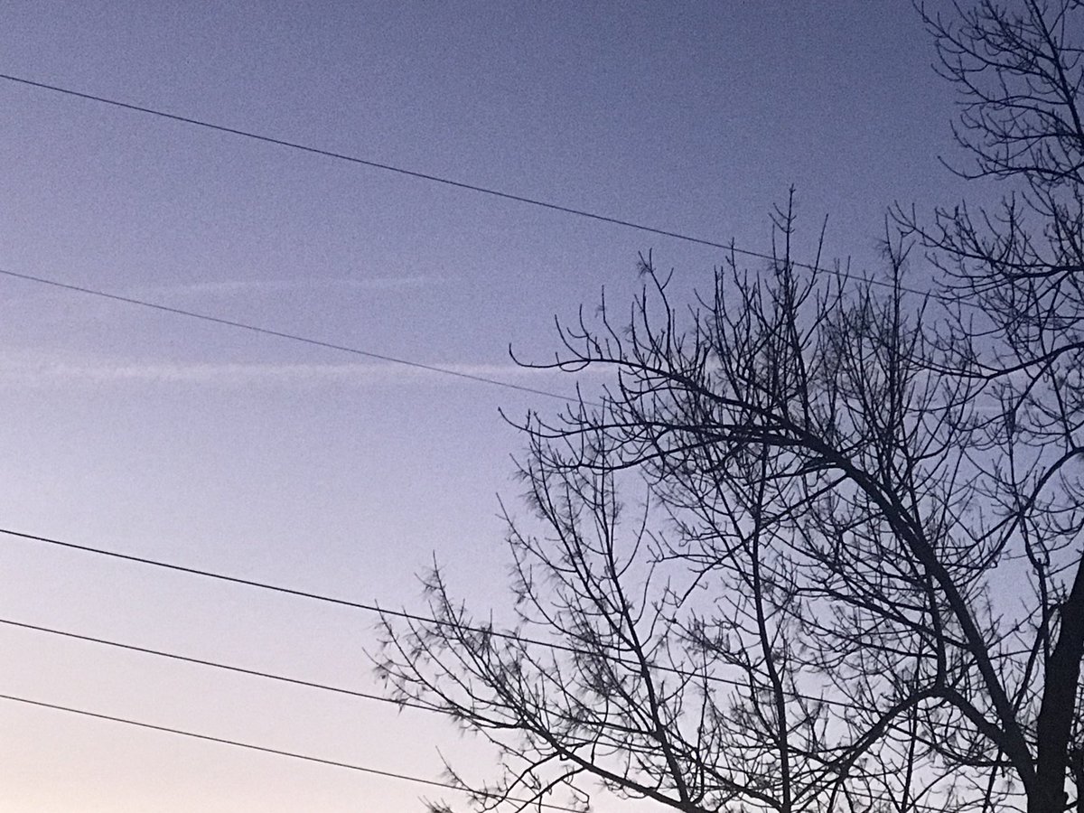 PAChemtrails's tweet photo. SE #PA 6:45am #SuperBlueBloodMoon was visible until our usual #morning spraying begun. Spraying started at 6:30 and blocked out the moon by 6:45. #MontCo #DelCo #BerksCo #BucksCo #PAChemtrails #OpChemtrails @OpChemtrails @PamJonesLiberty @Uniocracy #GeoEngineering #PAWX https://t.co/IxVxjEboSM