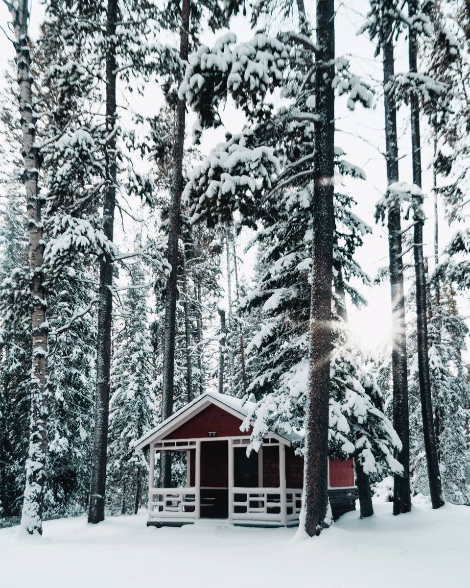 ExploreCanada's tweet image. Get away from the hustle and bustle at Johnston Canyon Resort, a secluded cabin getaway tucked just off the Bow Valley Parkway. 📷: seriouslyalexa/Instagram 📍: @TravelAlberta #ExploreCanada