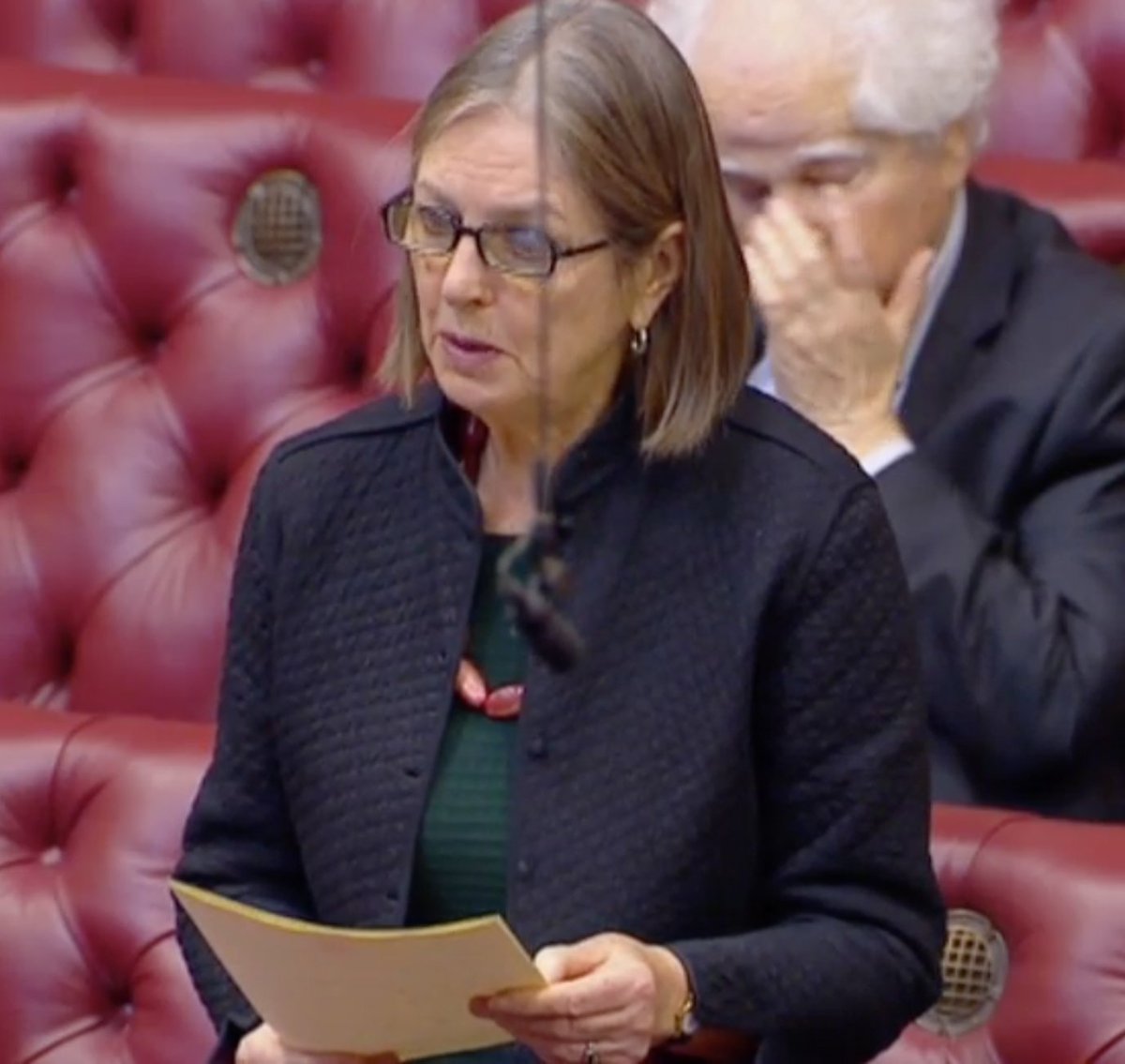 HOL_EUWatch's tweet photo. Pro #EU @UKLabour Baroness Blackstone said in the House of Lords today that we should not have had a #Brexit referendum. She also implied that the older people who voted do not matter as much as the younger voters. #BrexitLords https://t.co/xVQPV97Pd3